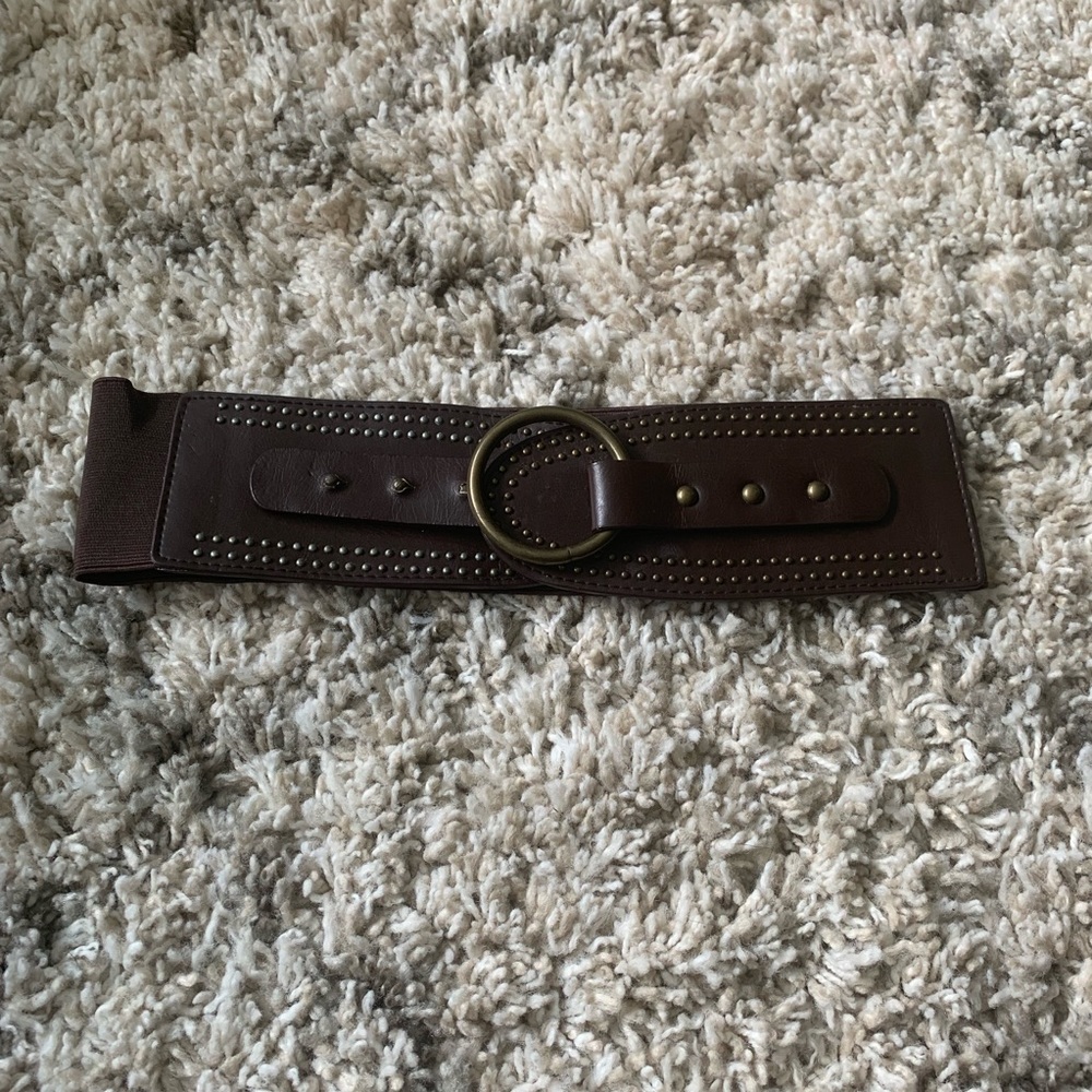 Brown and Gold Wide Loop Belt